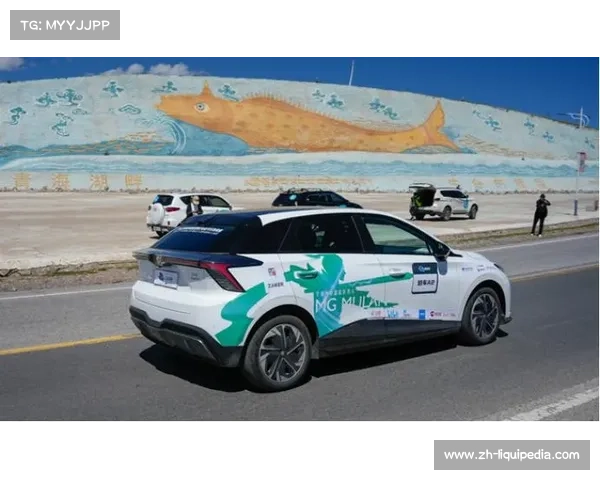 足球联赛全球化对本土文化影响：同质化与特色保留平衡